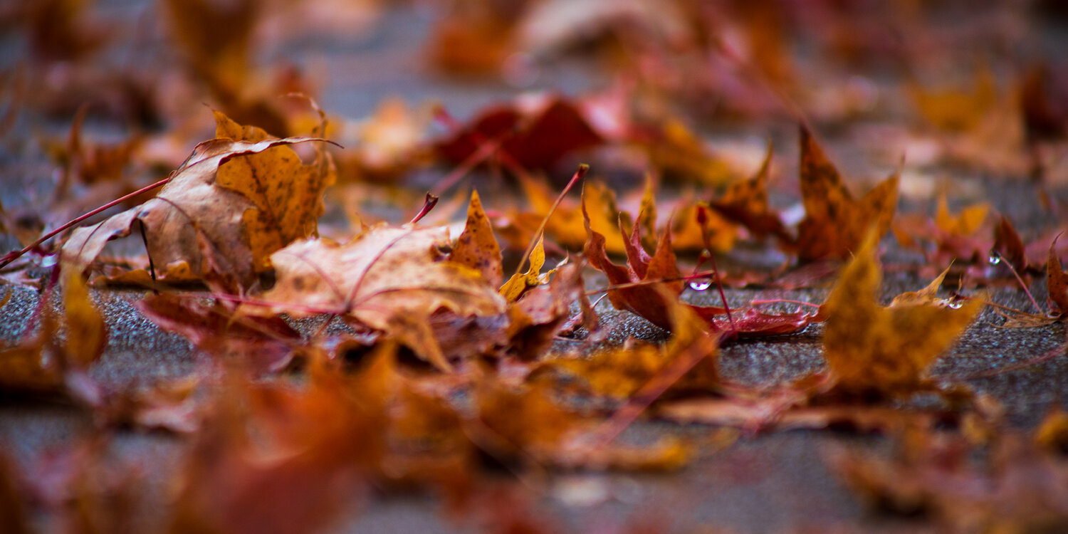 Photo #14106332
