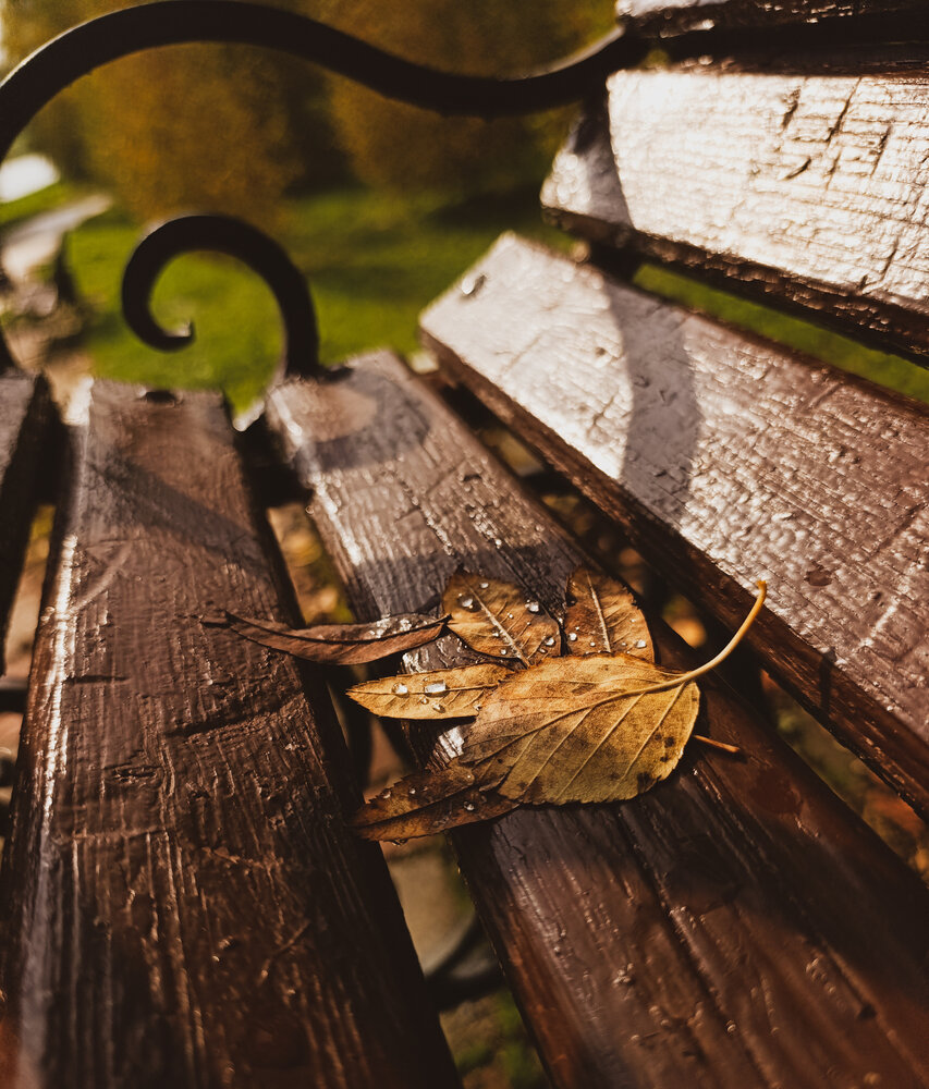 Photo #14106391