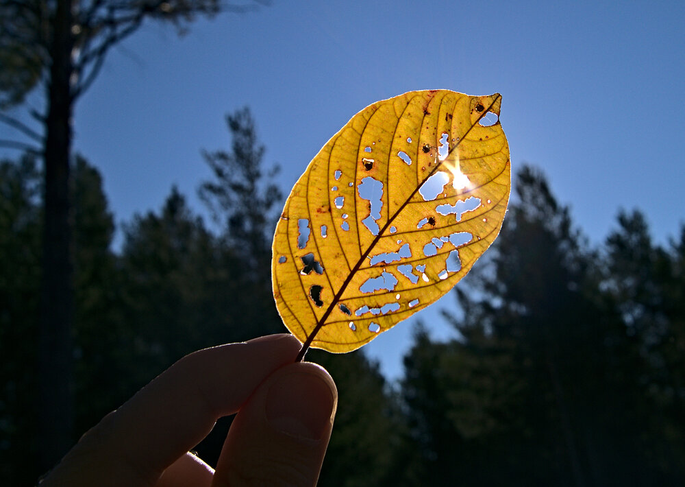 Photograph by Олег Каракин