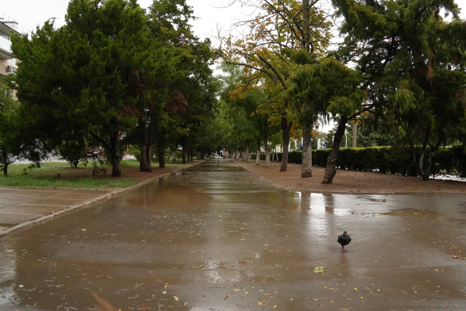 Photo #14106495