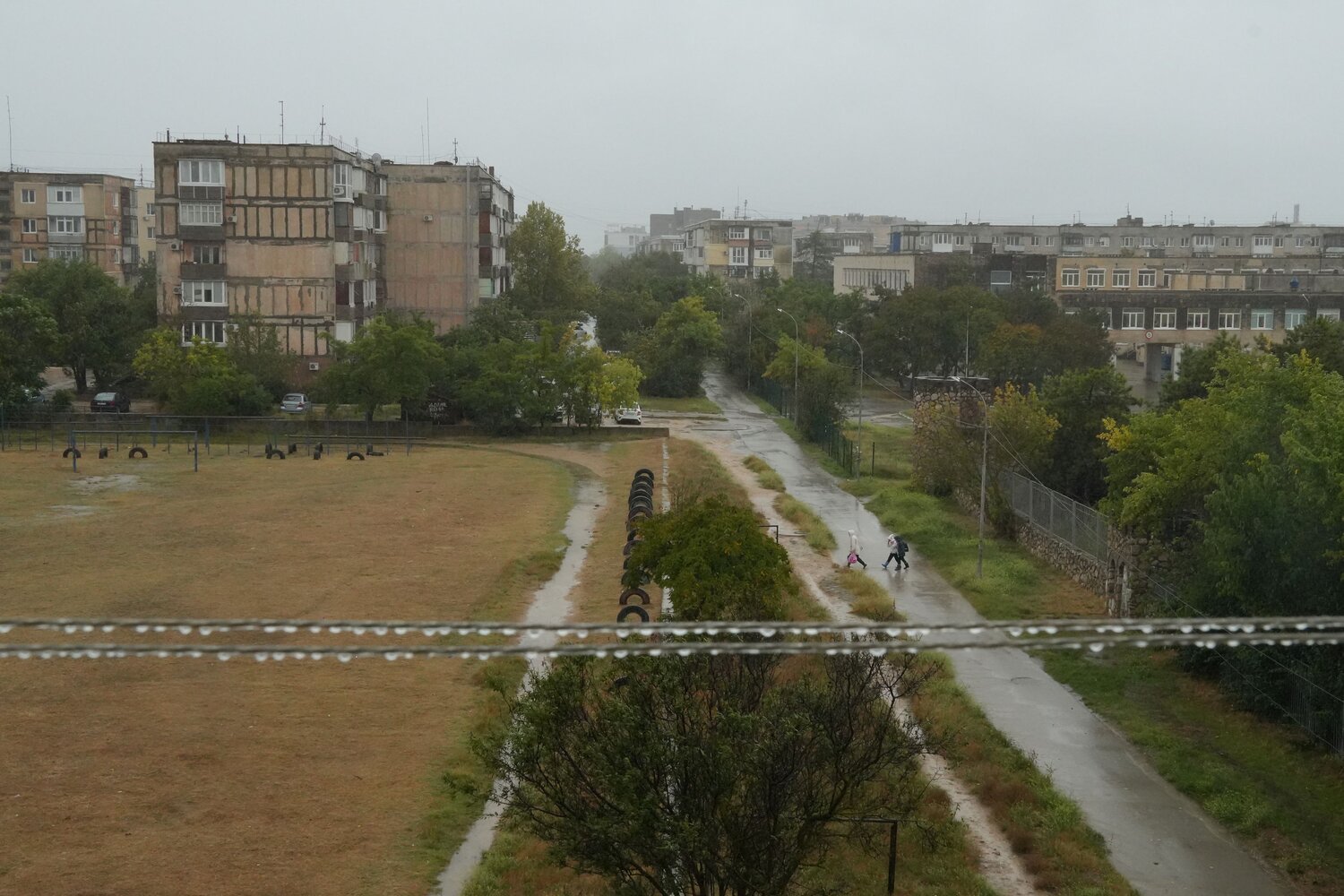 Photo #14106561