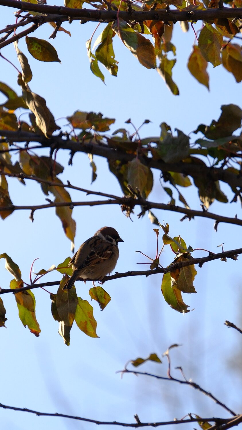Photo #14106571