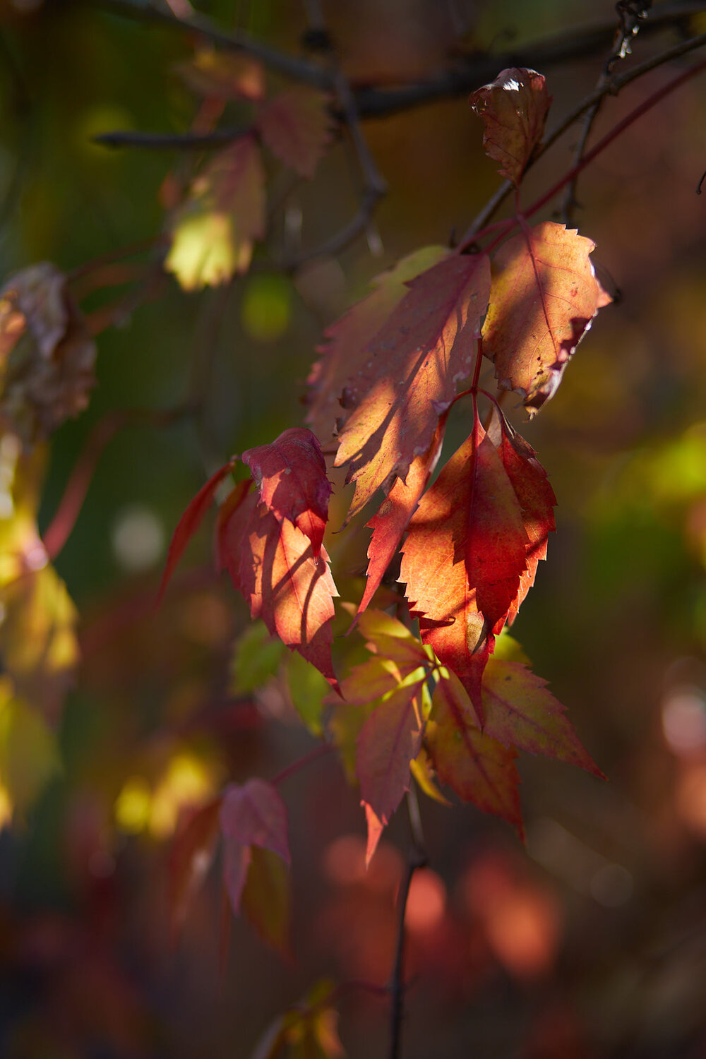 Photo #14106587