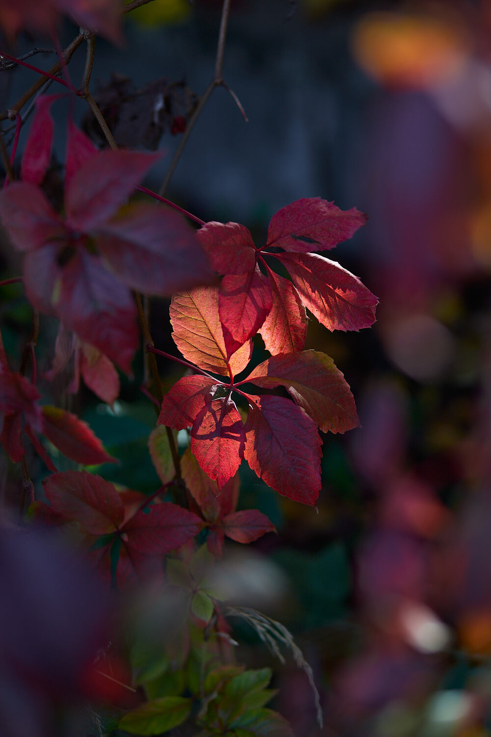 Photo #14106588