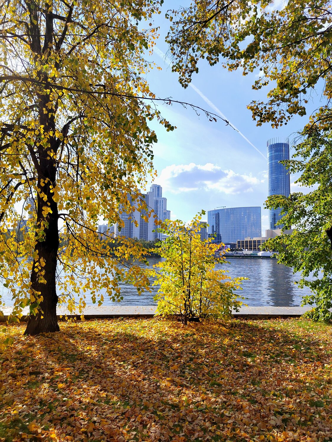 Photo #14106607