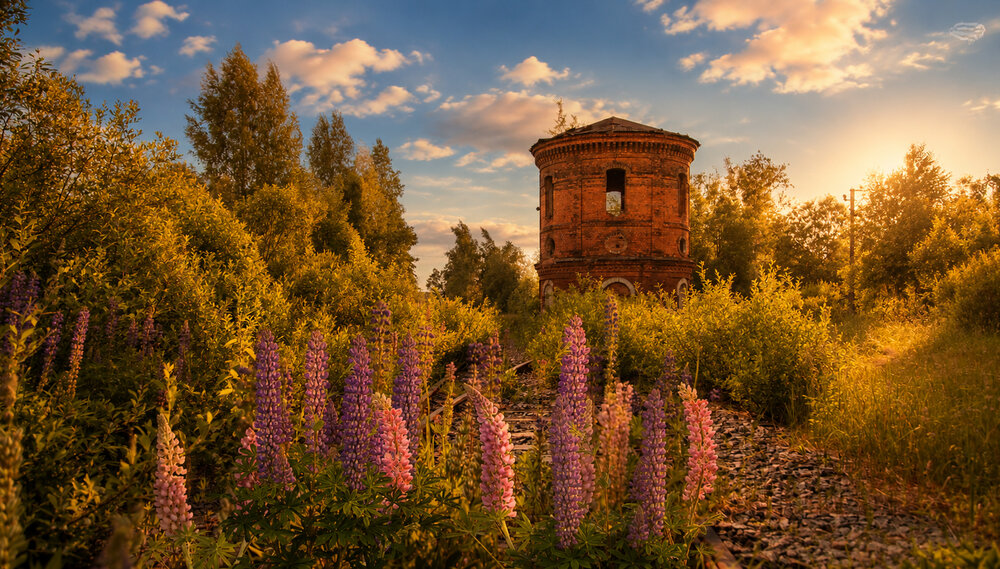 Фотография автора Ирина Ларина