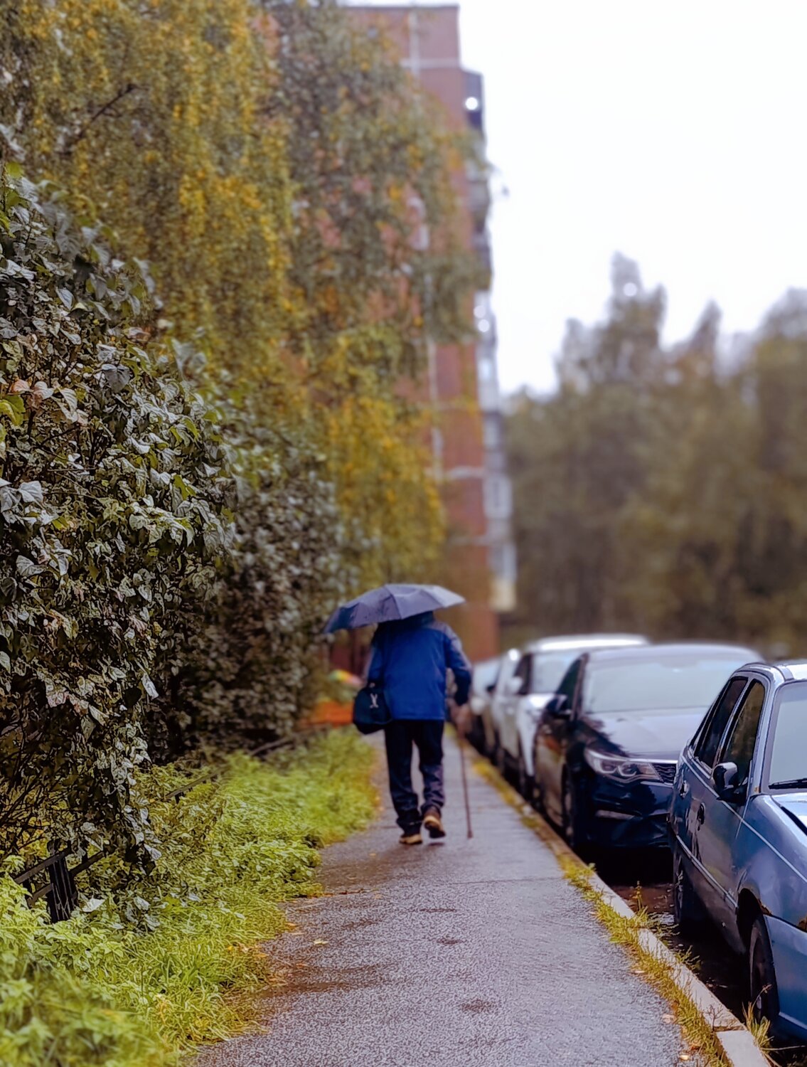 Photo #14106678