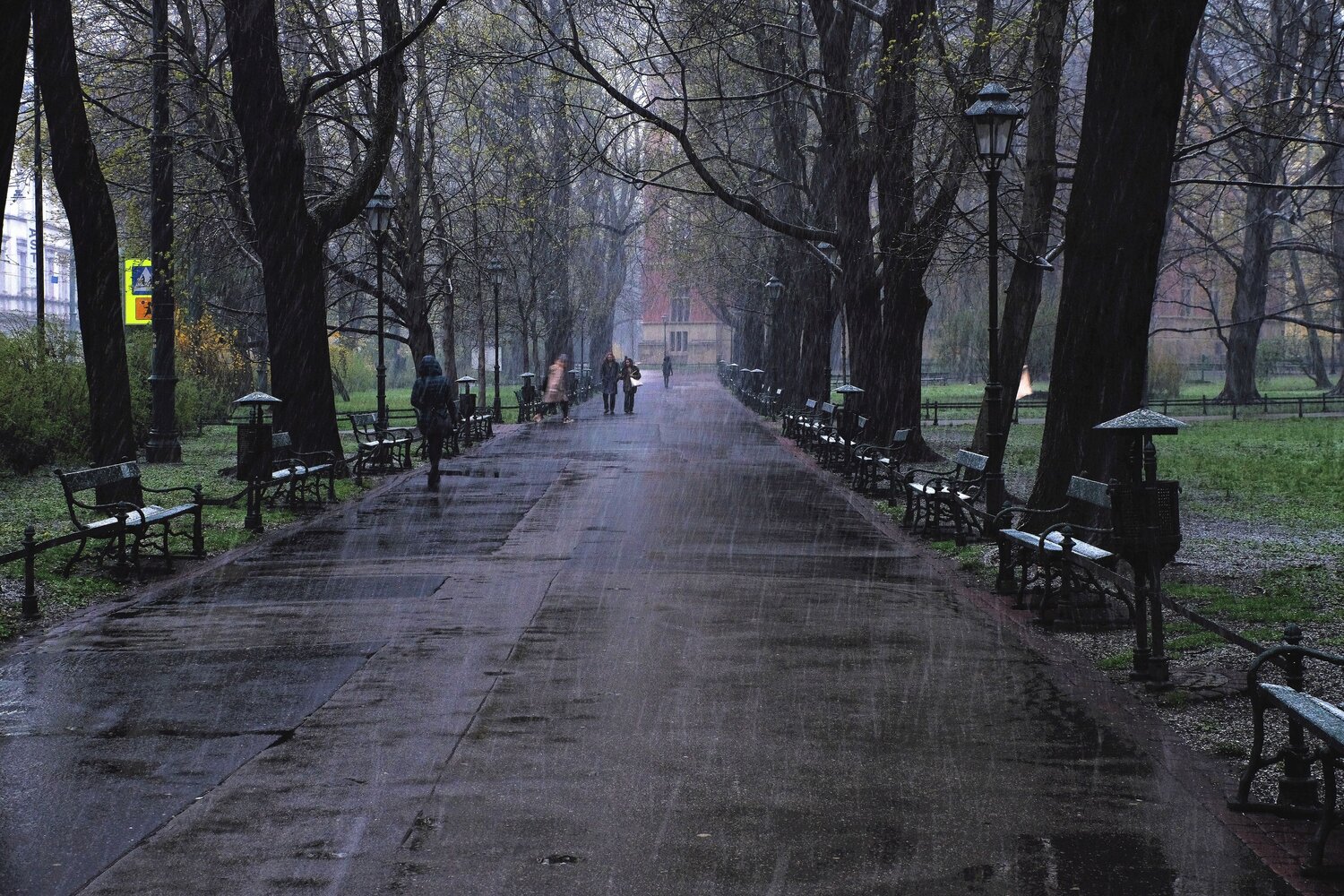 Photo #14106693