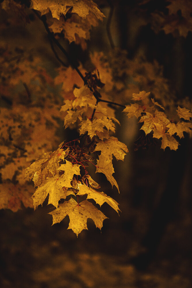 Photograph by Valeria Azamat