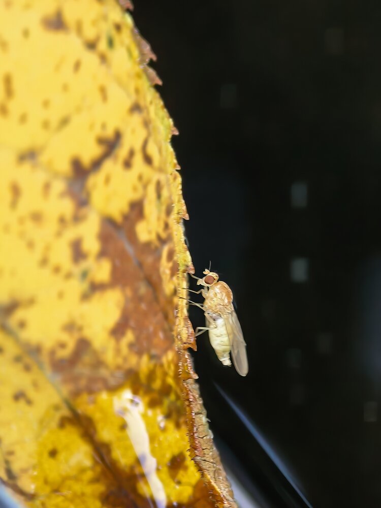 Photograph by Елена Чулюнина