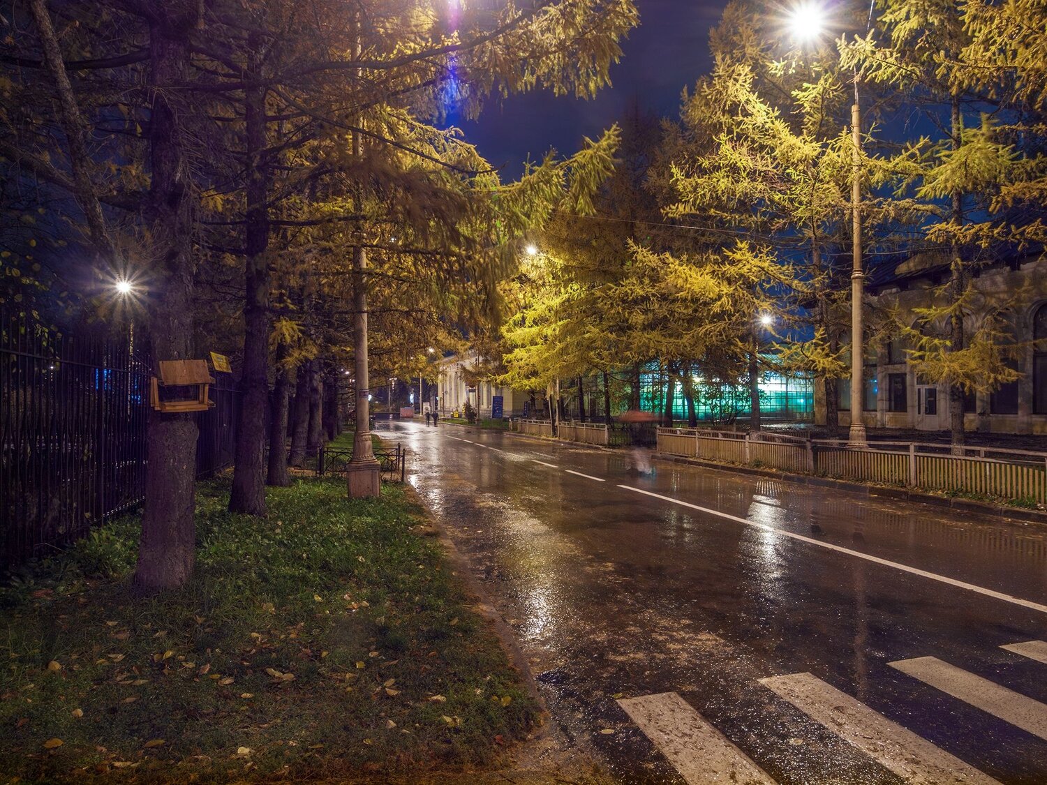 Фотография #14106897