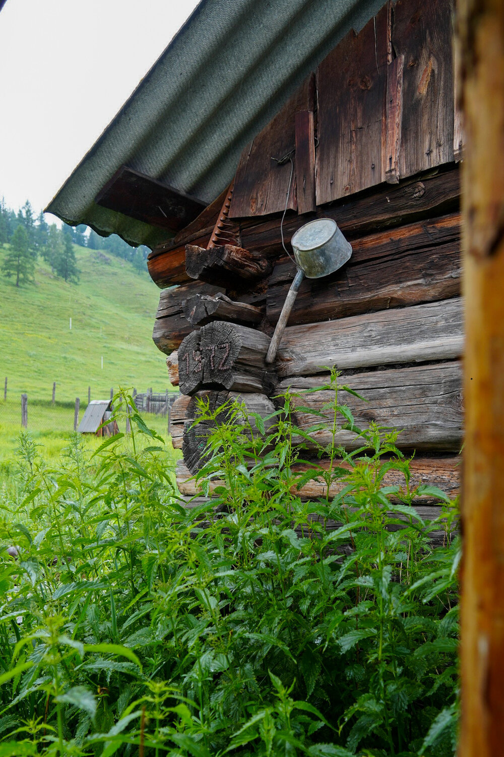 Photo #14107314