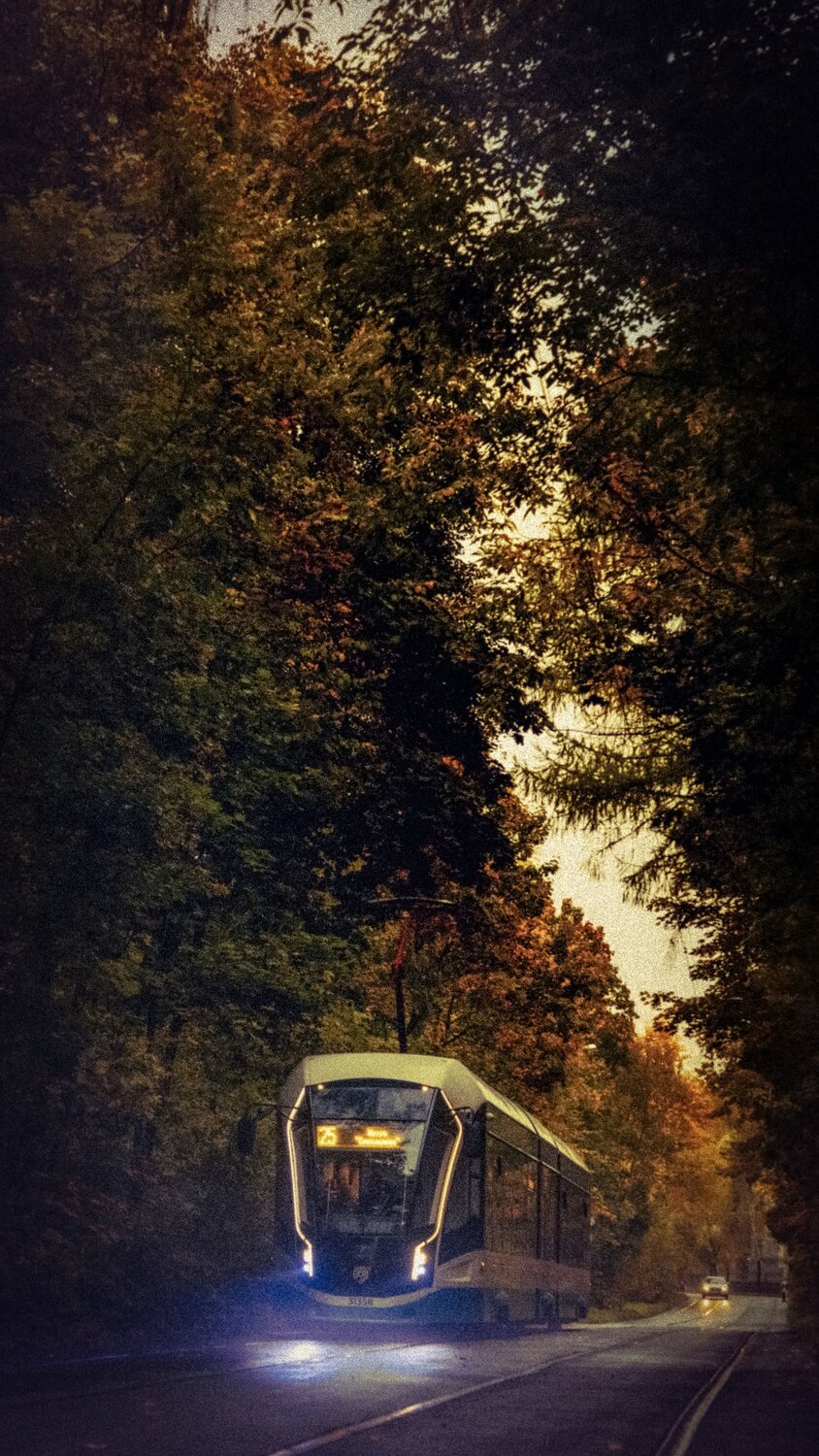 Photo #14107424
