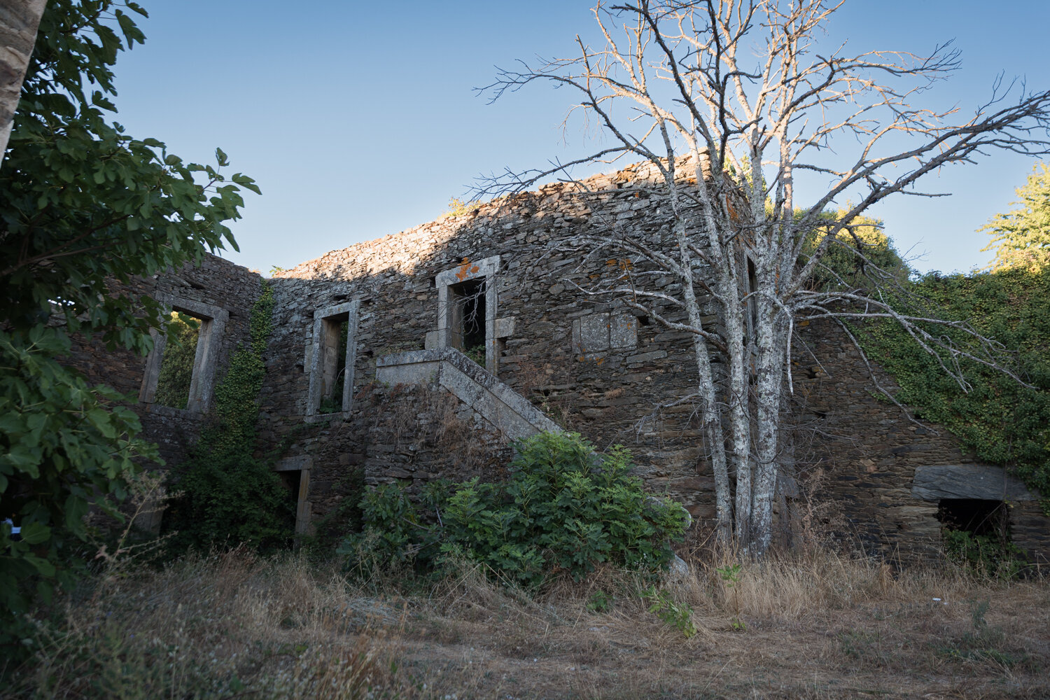 Photo #14107460