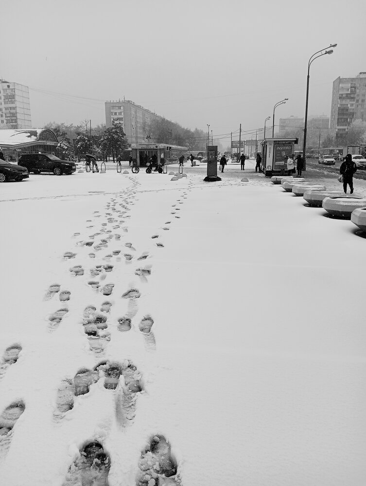 Чёрным по белому