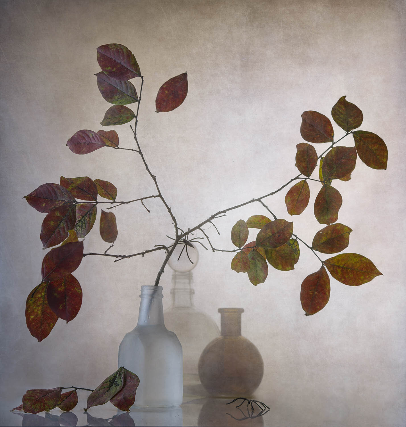 Photo #14107774