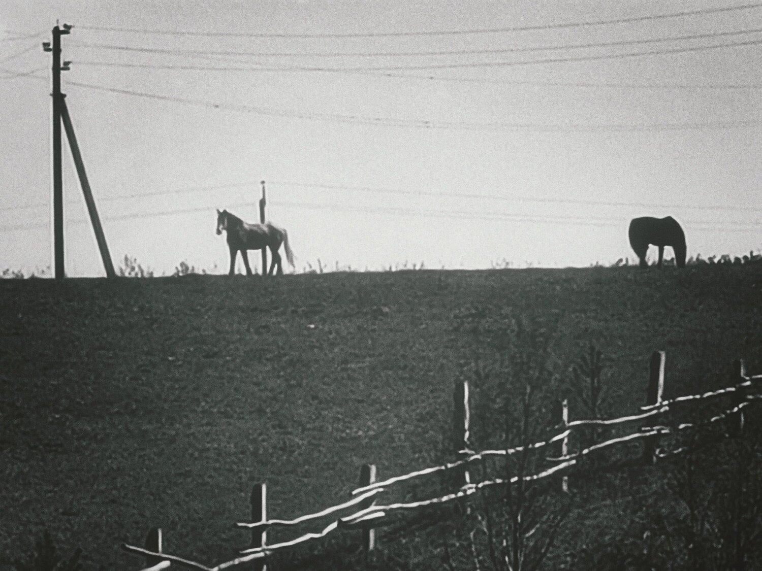 Photo #14107784