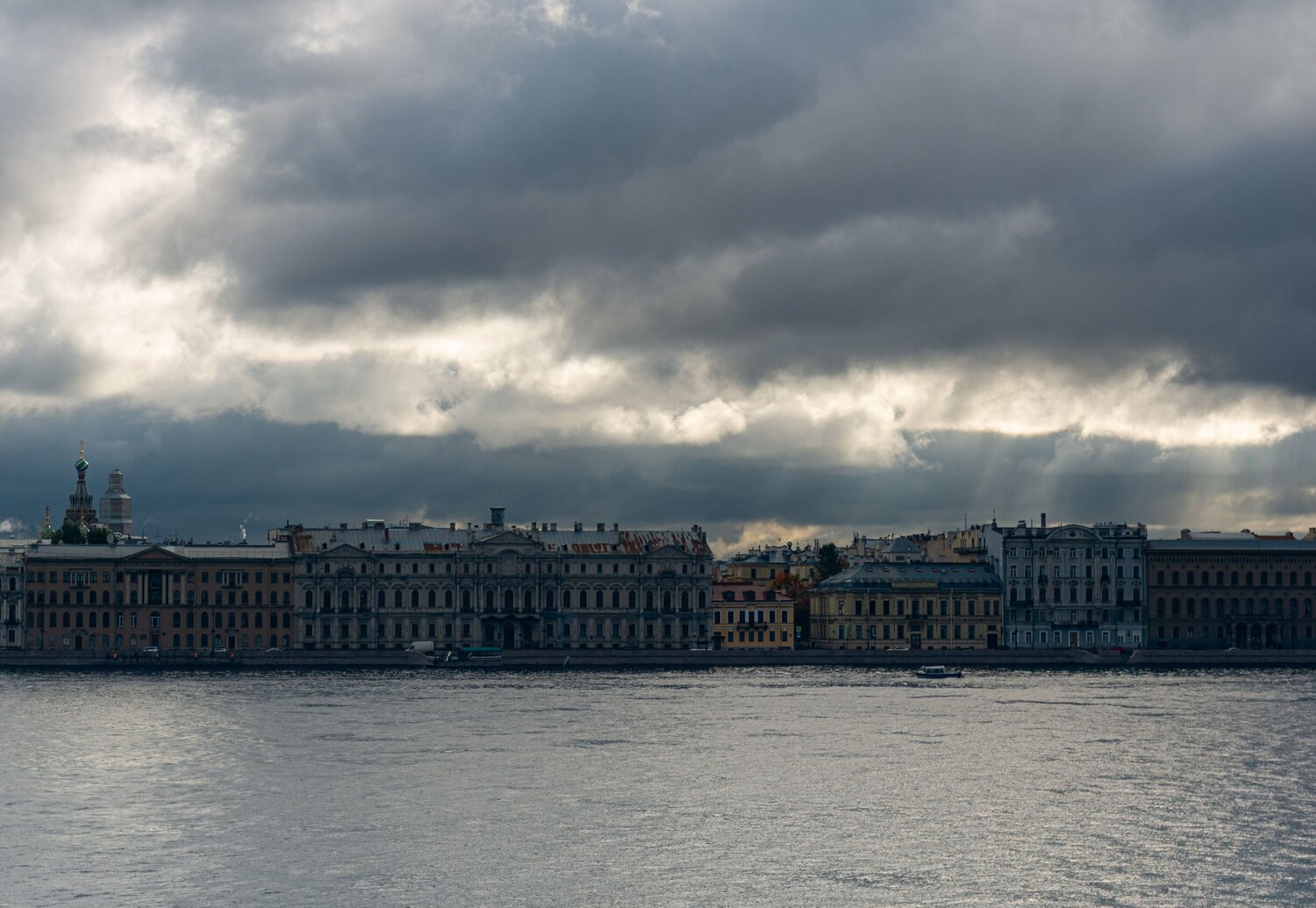 Photo #14107786