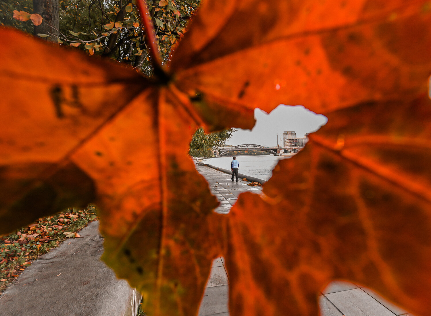 Фотография #14107793