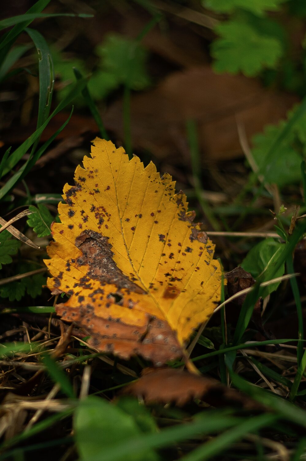 Photo #14107868