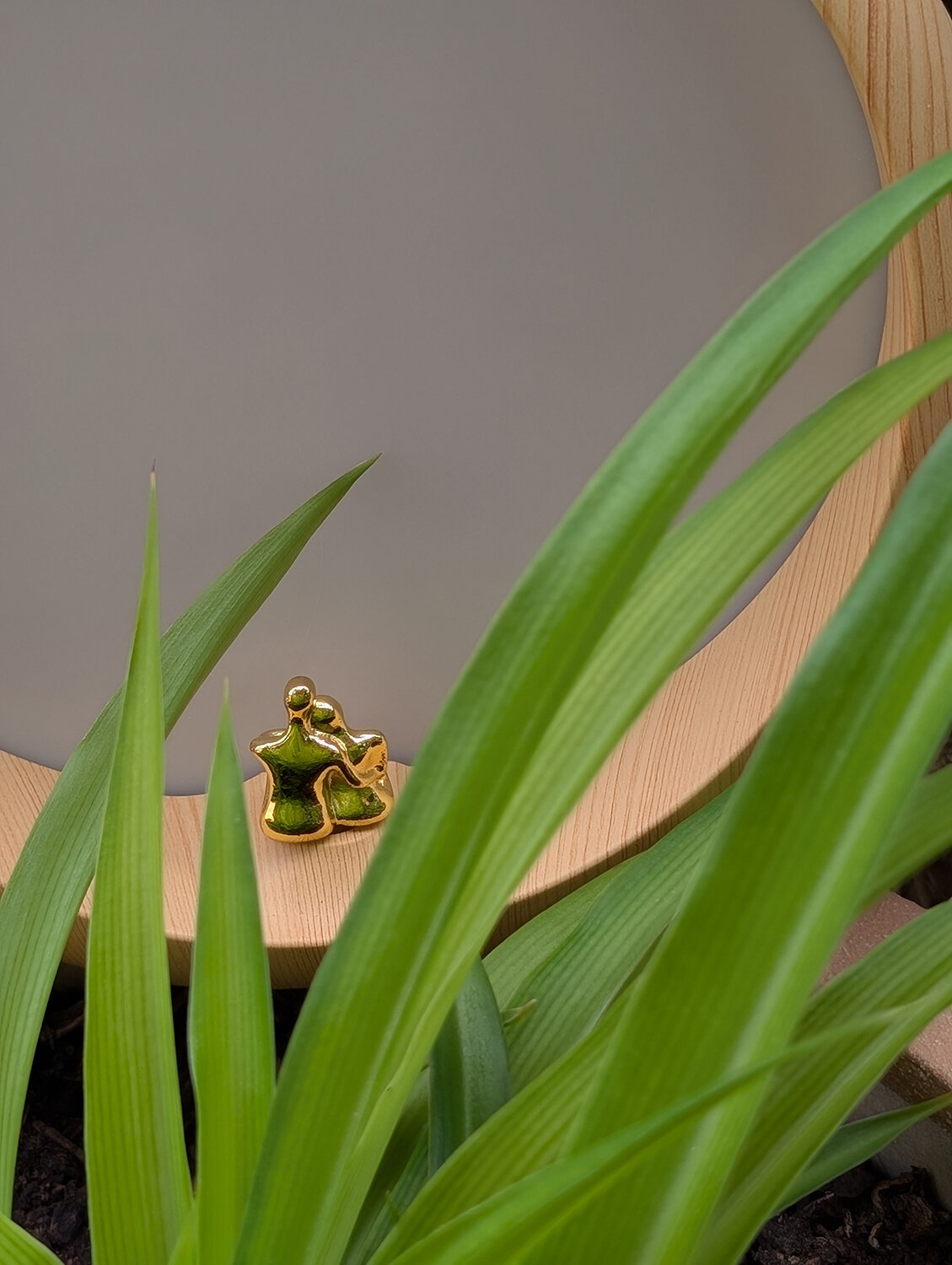 Photo #14107891