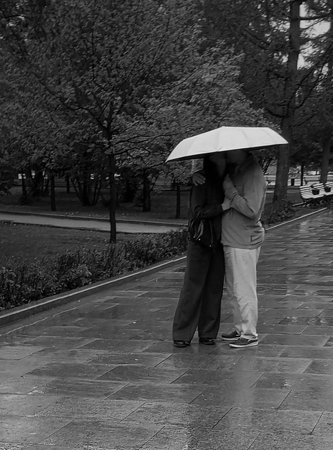 Photo #14108032