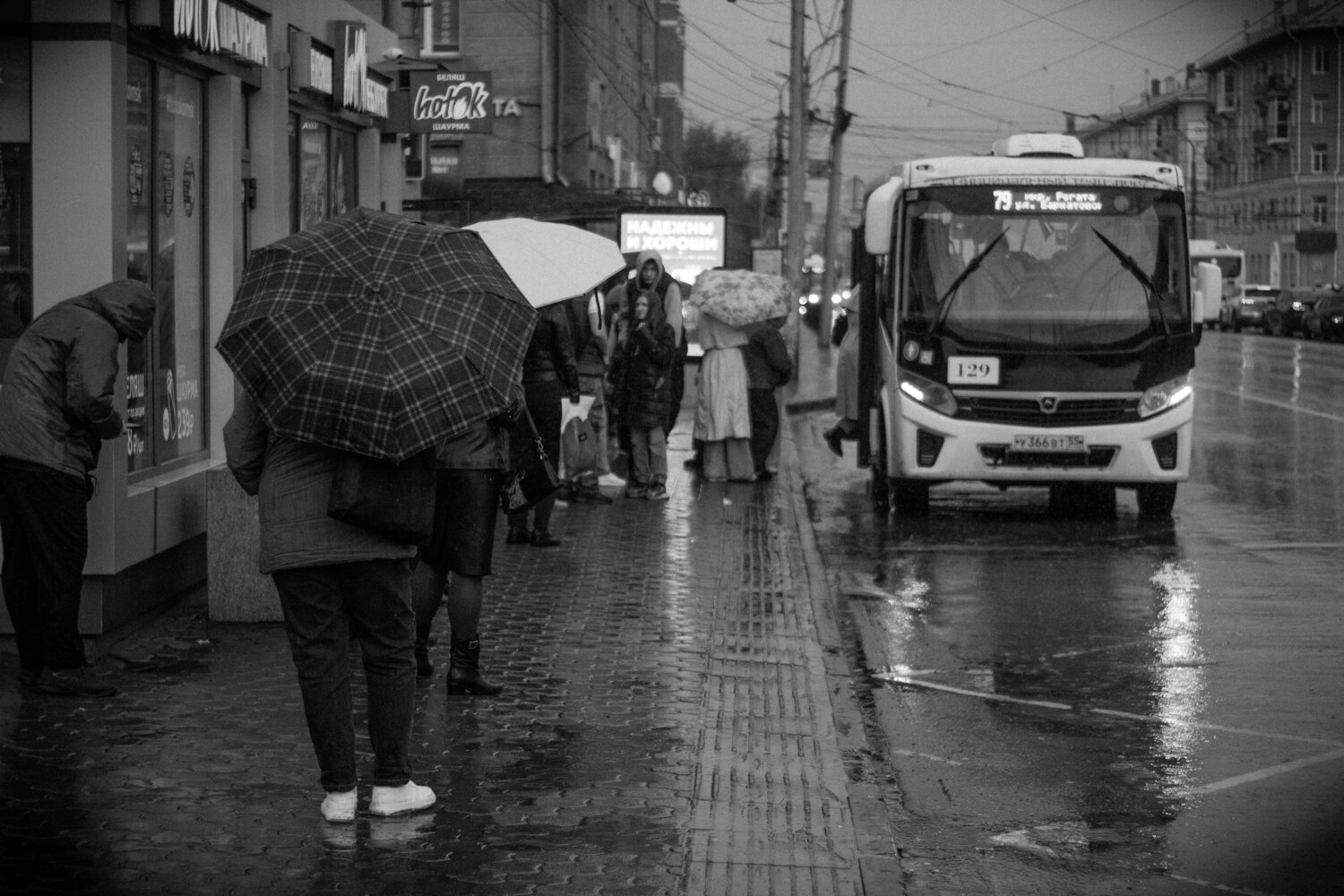 Photo #14108048