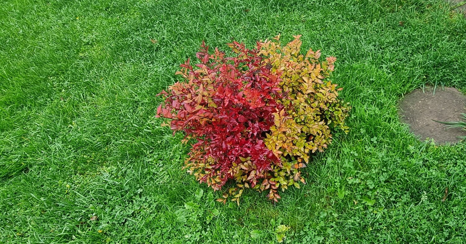 Photo #14108126
