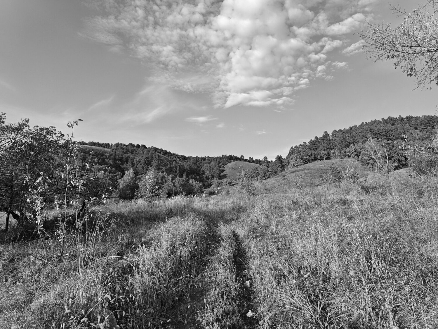 Photo #14108180