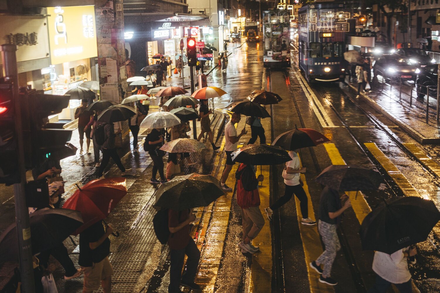 Photo #14108204