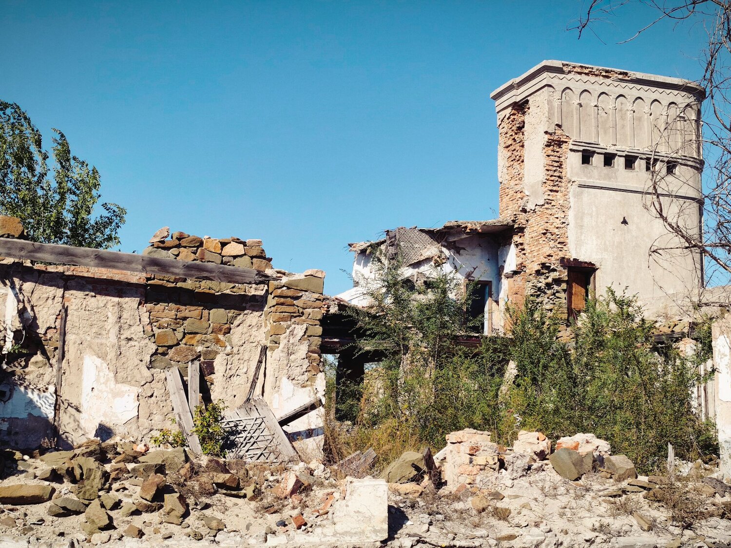 Photo #14108277