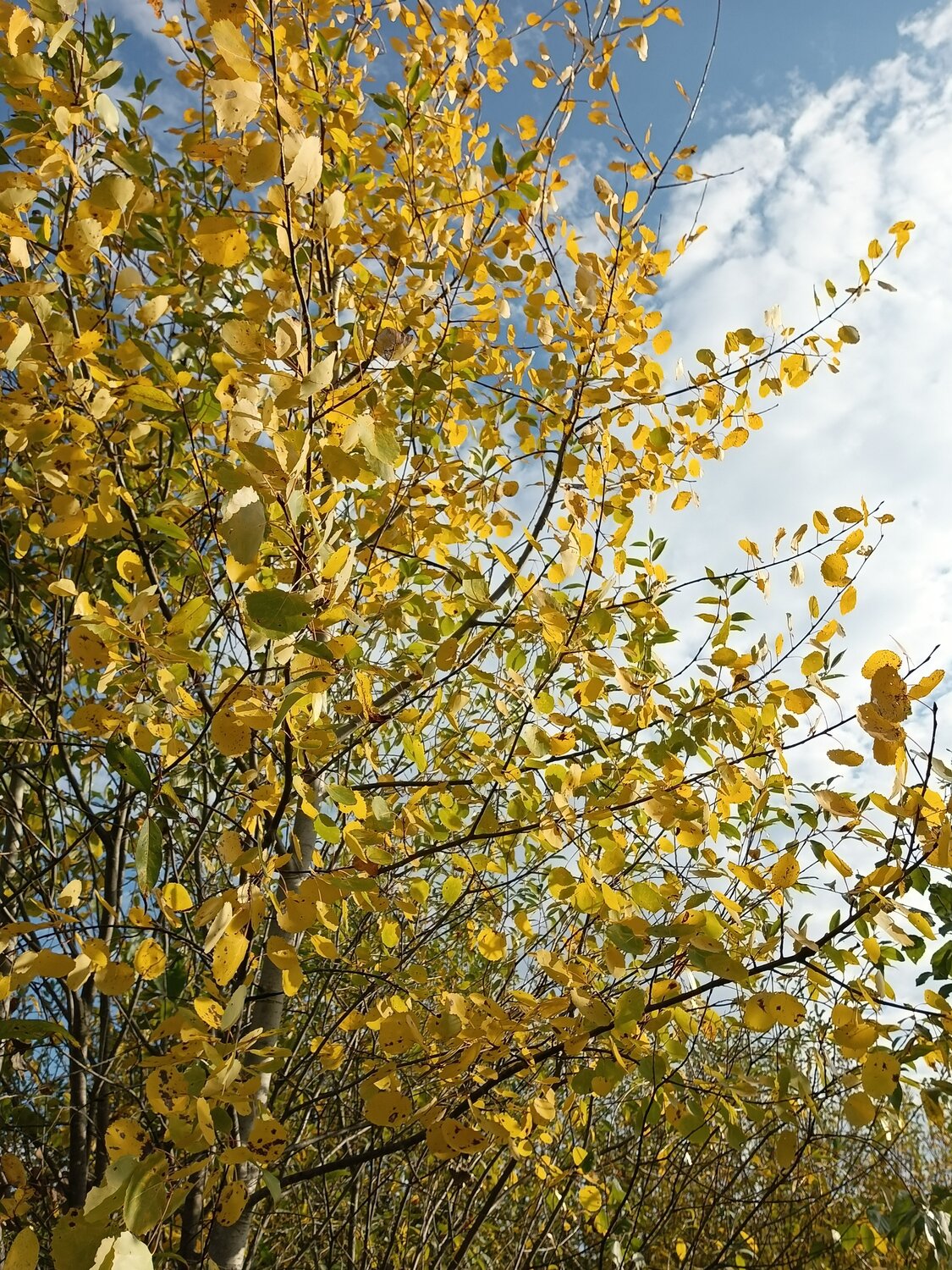 Photo #14108332