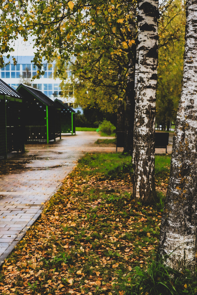 Photograph by Светлана Усанова