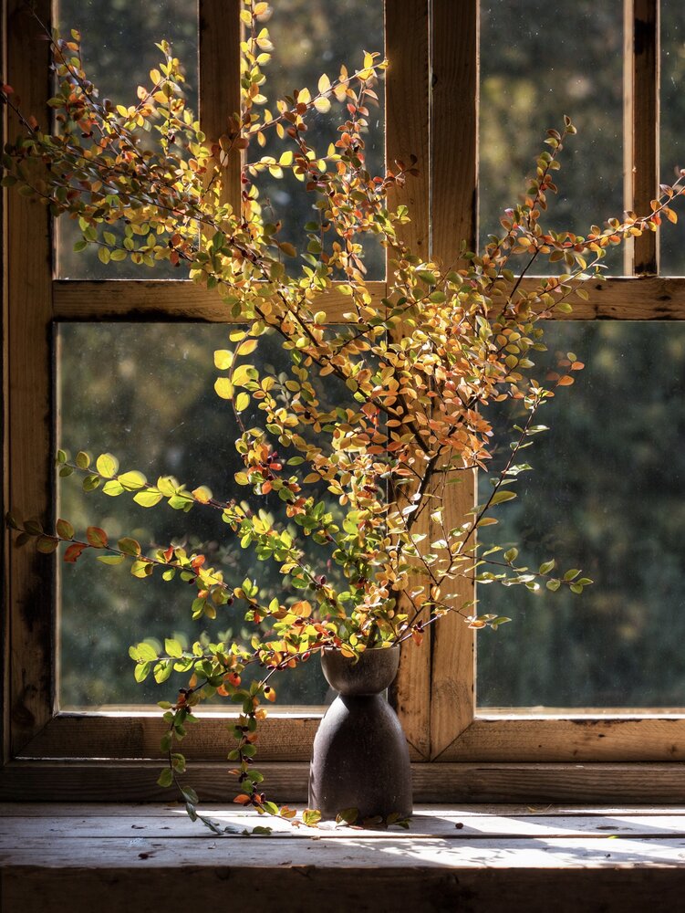 Photograph by Olga Schmidt