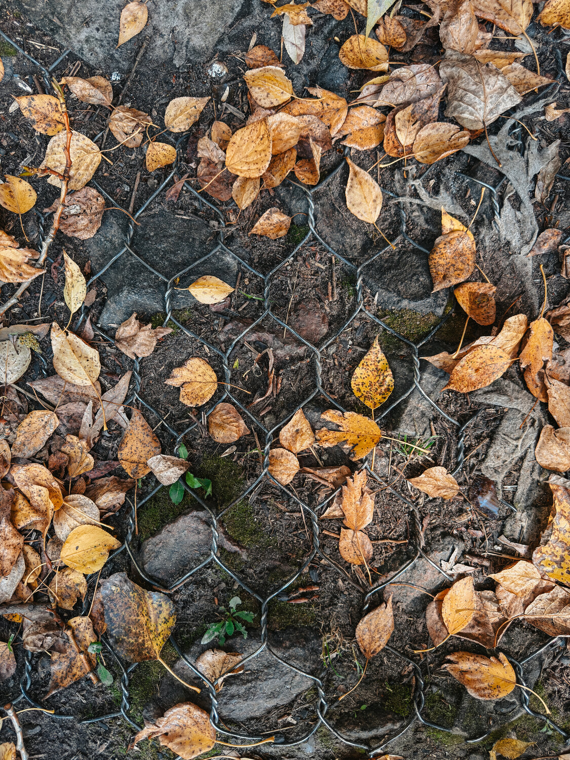 Photo #14108636
