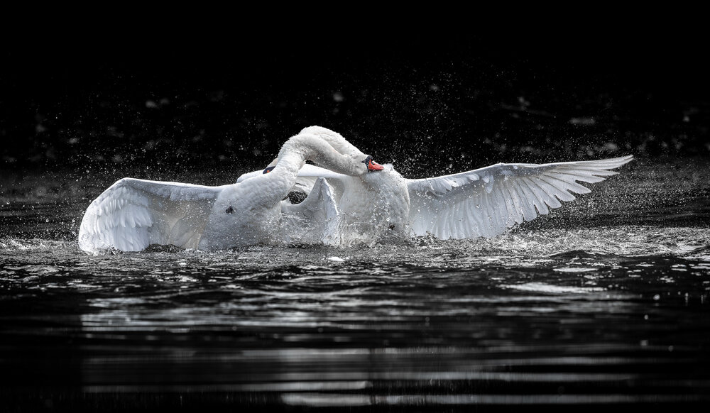 Love dance