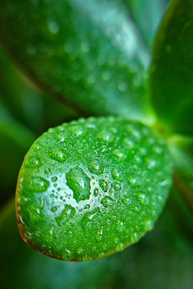 Photograph by Елена Кабенкина