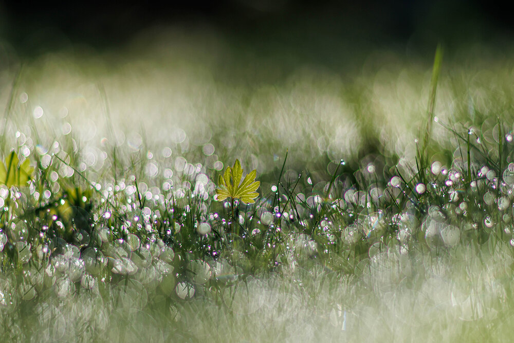 Photograph by Волынский Виктор