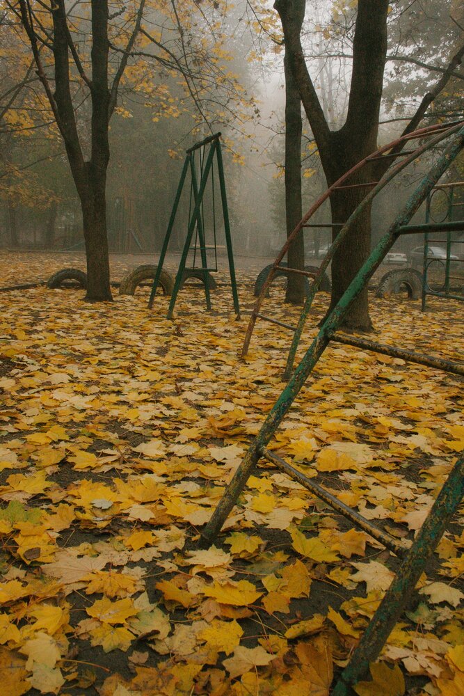 Photograph by Анна Орехова