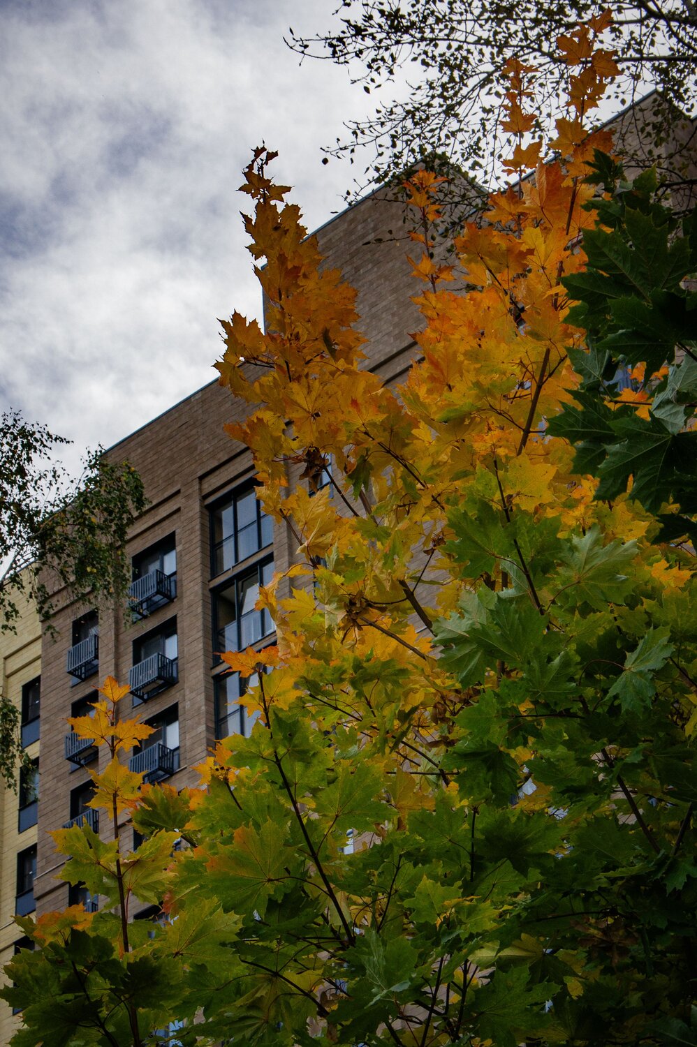 Photo #14109040