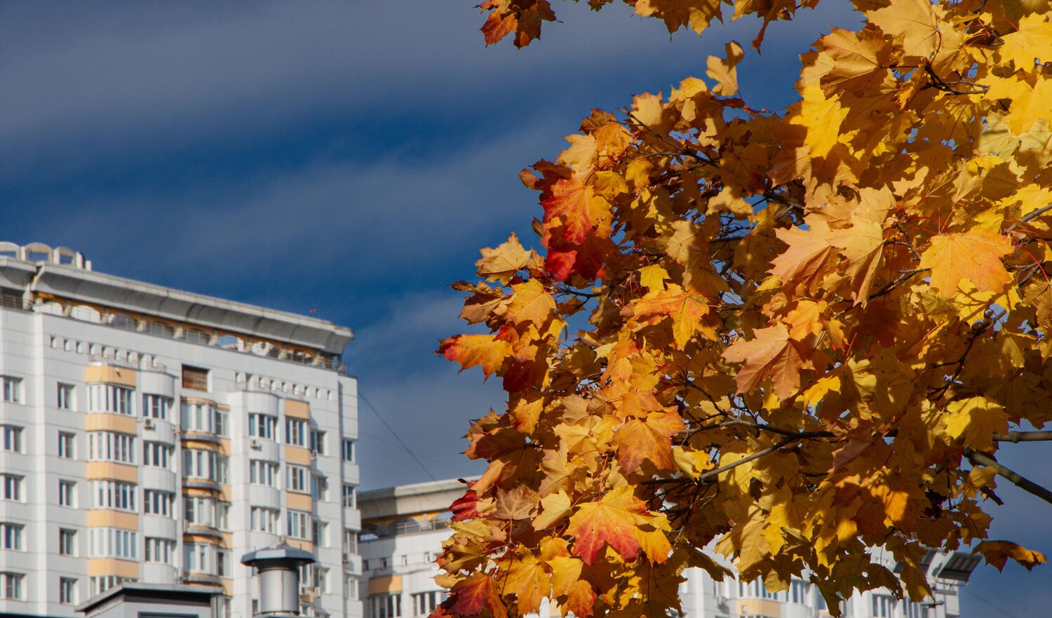 Фотография #14109041