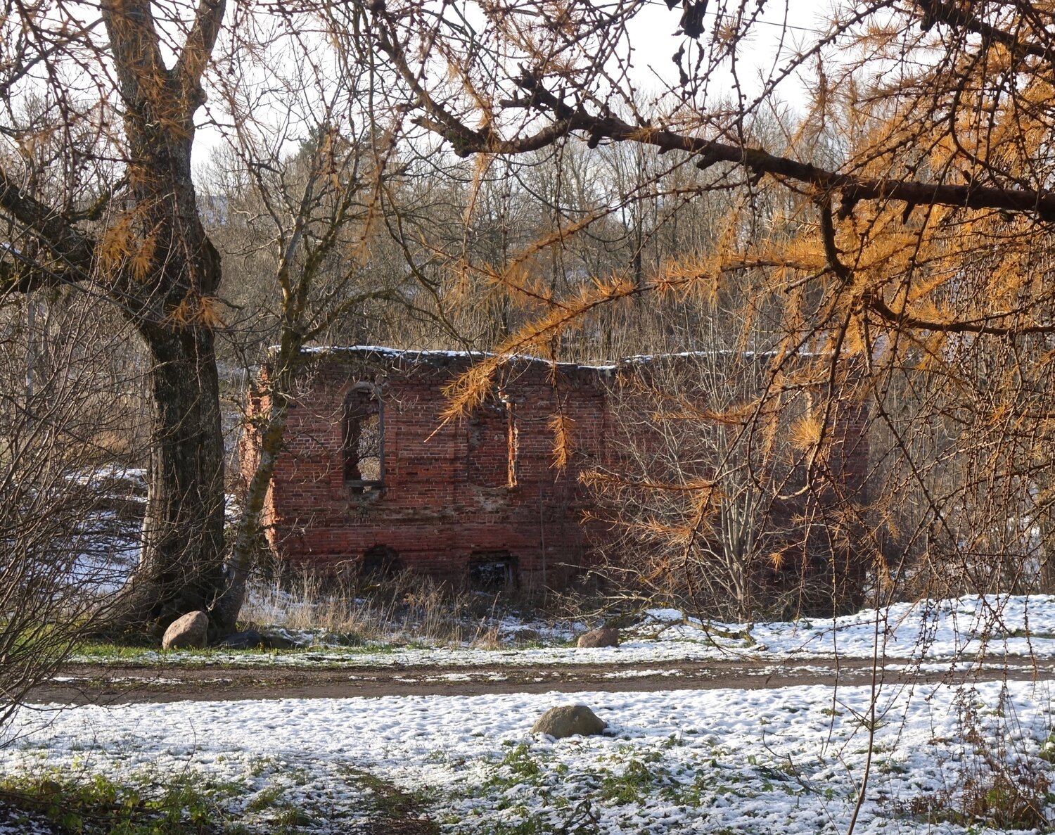 Photo #14109124