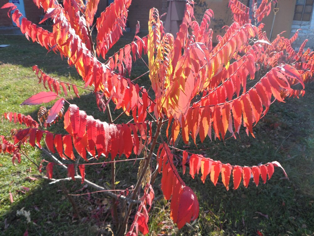 Photo #14109129