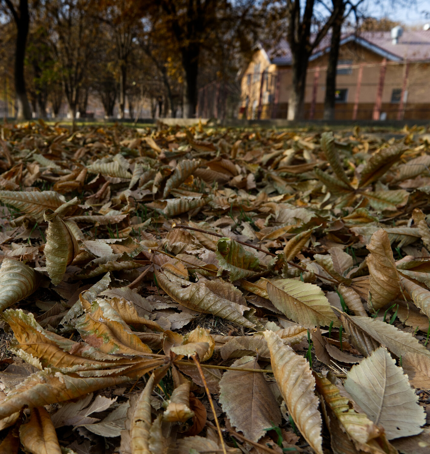 Фотография #14109151