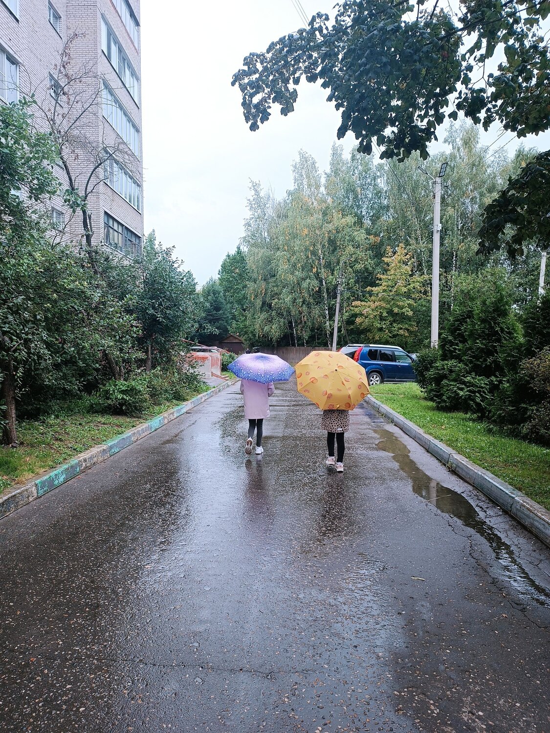 Фотография #14109174