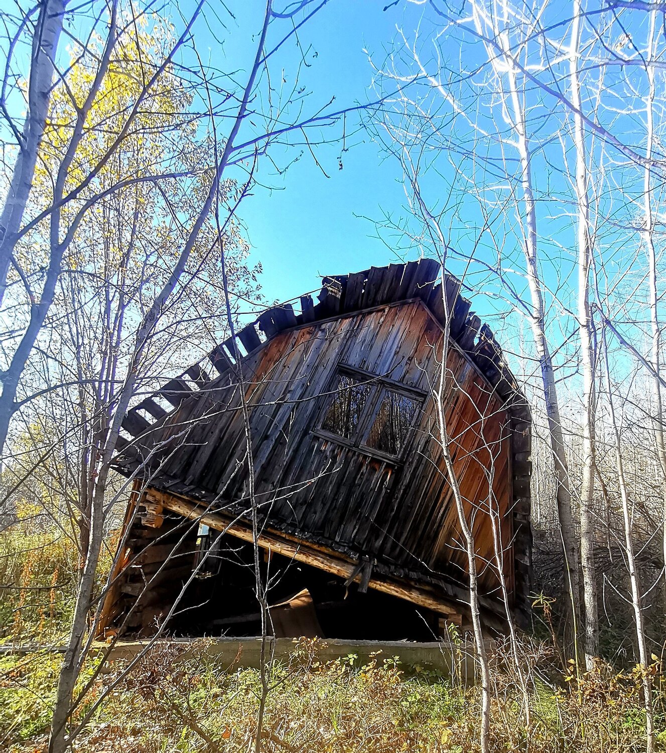 Photo #14109177