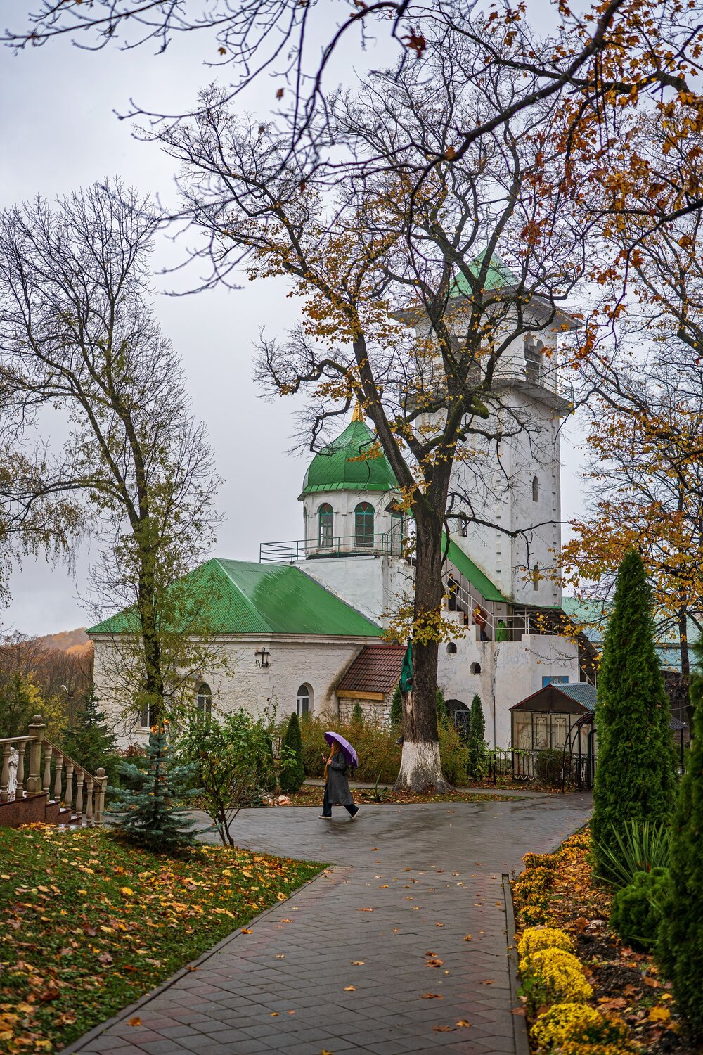 Photo #14109345