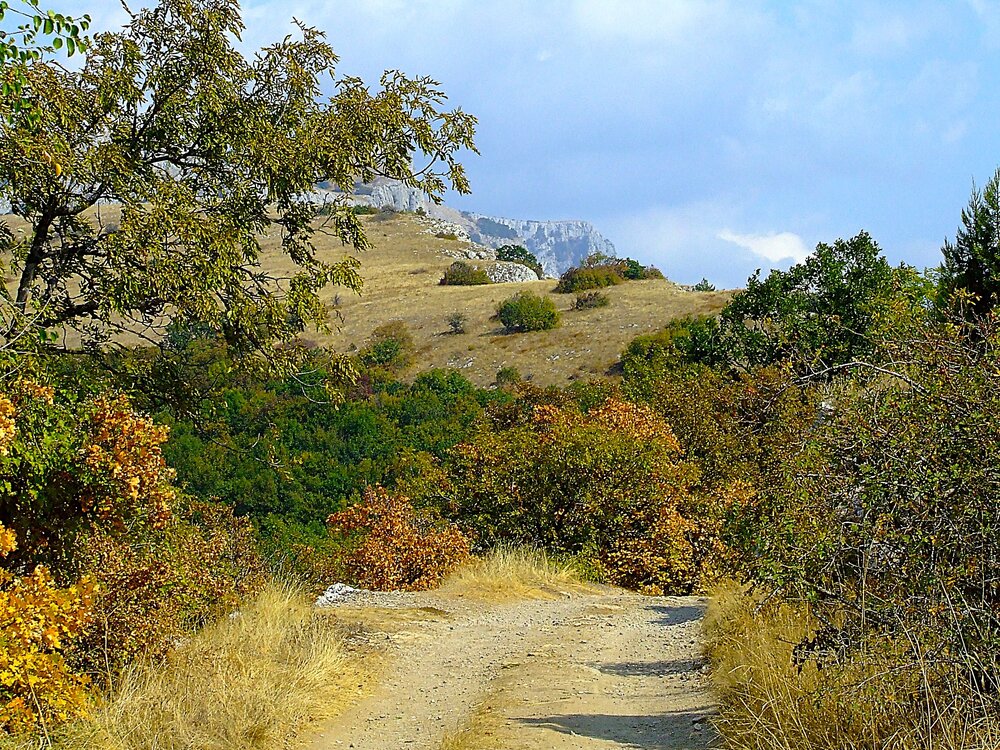 Яркие краски крымской осени