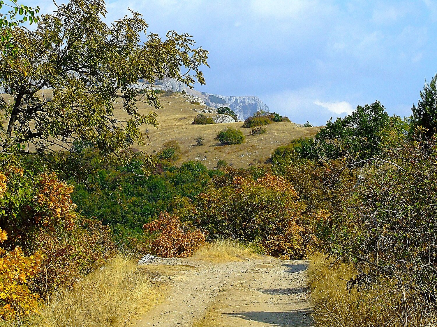 Яркие краски крымской осени