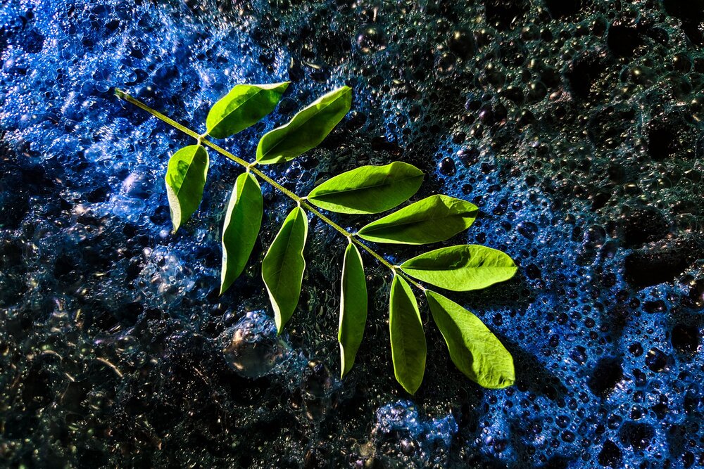 The Miracle of Indigo